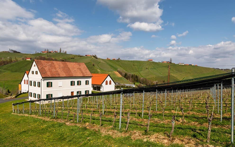 Weißes Haus mit rotem Dach inmitten eines hügeligen Weinbergs.